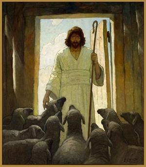 pobrany plik (73).jpg