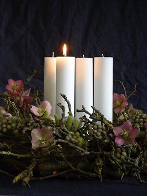 pobrany plik (80).jpg